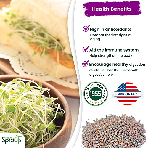 Nature Jims Sprouts FREEPI Broccoli Sprout Seeds thumb #8