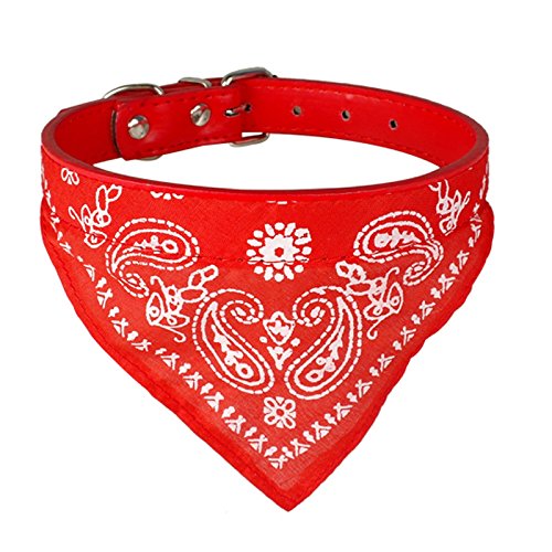 Image of Adjustable Scarf Cum Bandana Cum Neckerchief Collar Cum Neck Tie for Puppy /Cat /Kitten (Red)