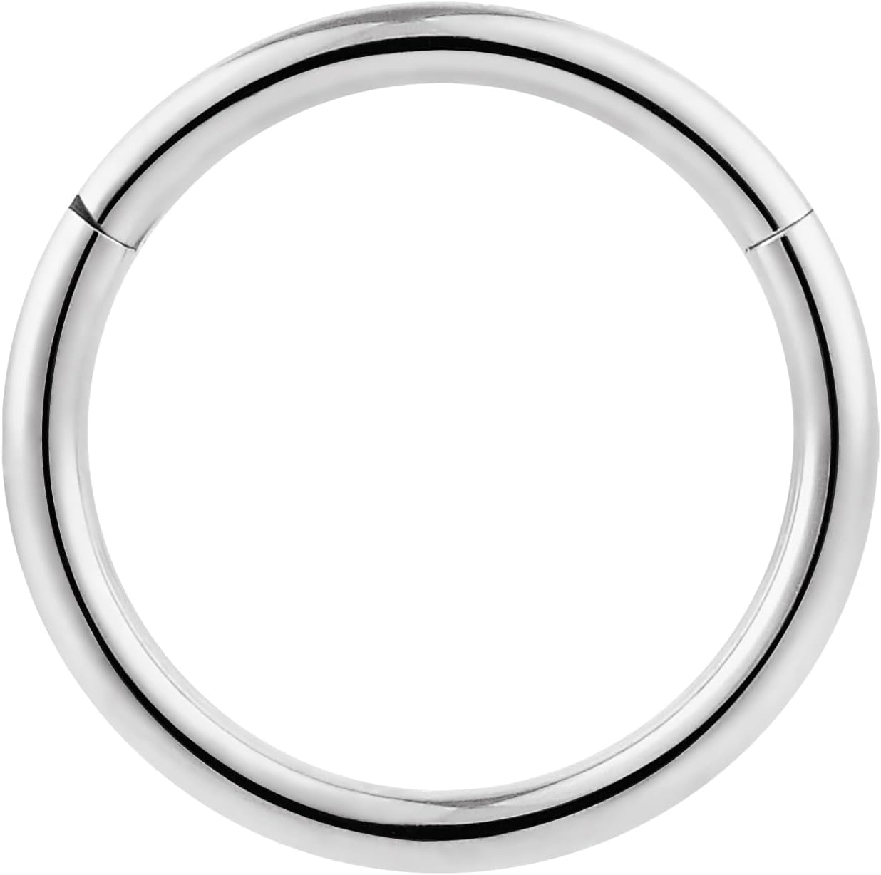 365 Sleepers Titanium Implant Grade Nose Rings 20G 18G 16G 14G 12G 10G 8G 6G Septum Jewelry Hinged Segment Ring Body Piercing Hoop Lip Rings Helix Cartilage Rook Earrings Nickel Free Hypoallergenic - Image 2