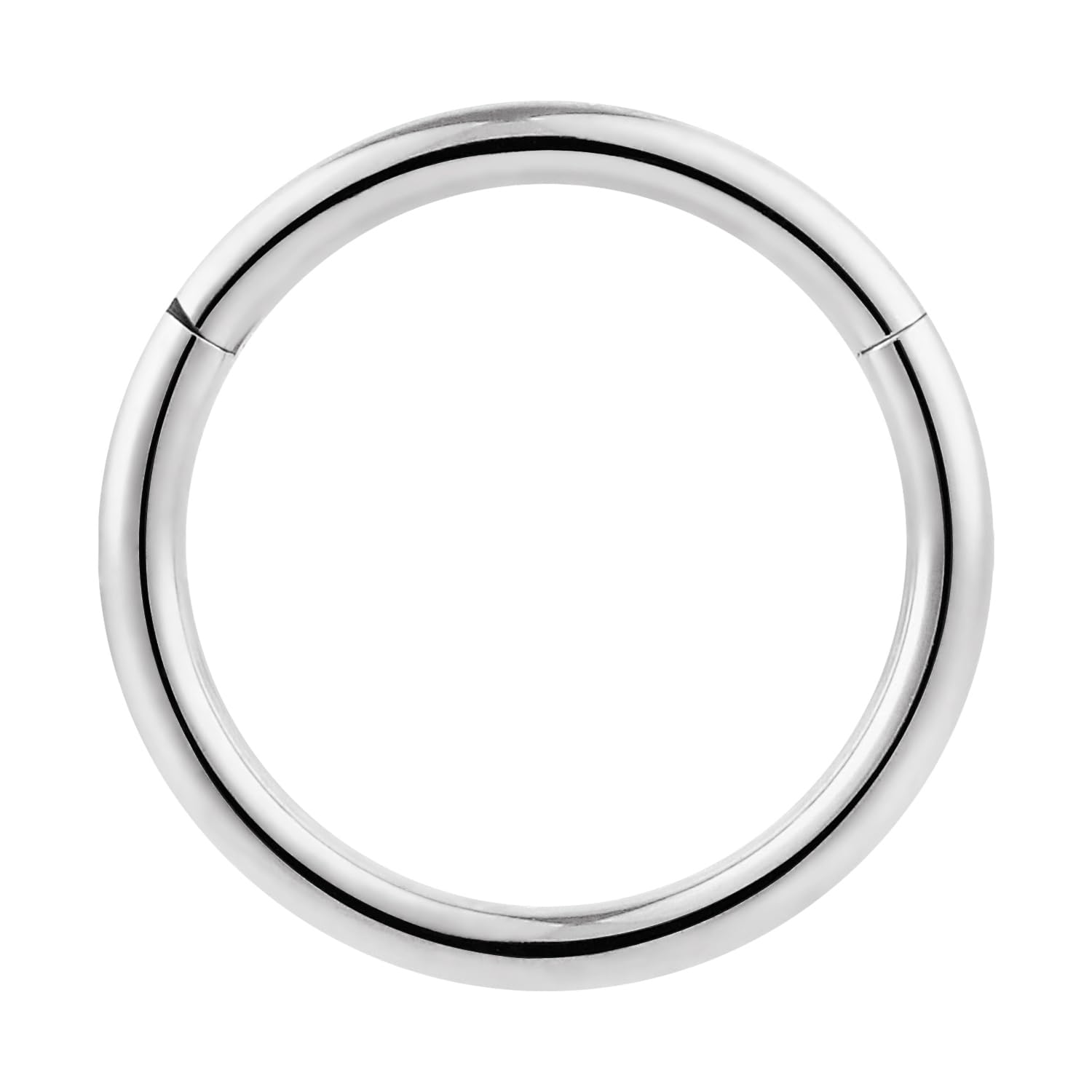 365 SLEEPERS 1pc Titanium Implant Grade Nose Rings 20G 18G 16G 14G 12G 10G 8G 6G Septum Hinged Segment Ring Body Piercing Jewellery Hoop Lip Rings Helix Cartilage Rook Earrings Nickel Free — view 3
