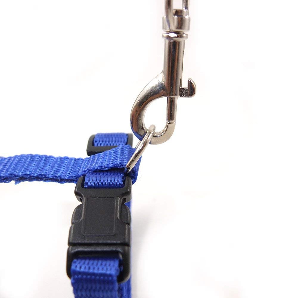 The Pets Company Adjustable Cat Harness Leash Set for Cats & Kittens, Indigo 3