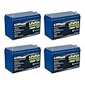 4 Pack ExpertPower 12V 100Ah Lithium LiFePO4 Deep Cycle Rechargeable Battery | Bluetooth | 2500-7000 Life Cycles & 10-Year Lifespan | Built-in BMS | RV, Van, Solar, Marine, Overland, Off-Grid