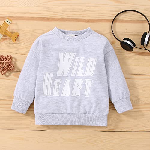 Toddler Boy's Cotton Crewneck Long Sleeve Sweatshirt Letter Long Sleeve Pullover Tops Fall Winter (Grey, 3-4 Years)2