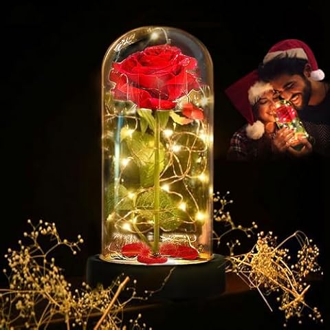 Deluxsa Enchanted Red Silk Rose,Beauty and The Beast Rose with Fallen Petals in A Light Dome,Home/Office or Home Decorations, Anniversary, Valentine's Day Christmas Gift Cover