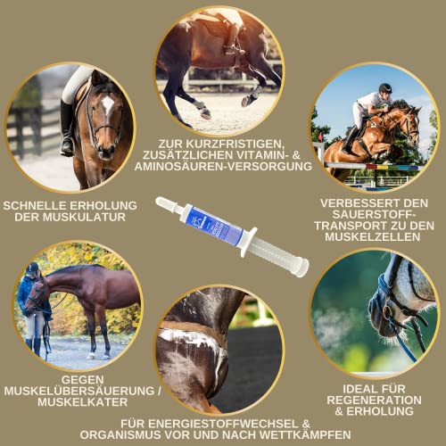 EMMA Amino Vitamin Paste I Aminosäuren Pferd mit L Carnitin Vitamin E Pferd I Vitaminpaste Aminosäuren komplex Muskelaufbau Pferde I Regeneration Muskeln ​alternativ Muskel Protein Pulver Pferde 2St
