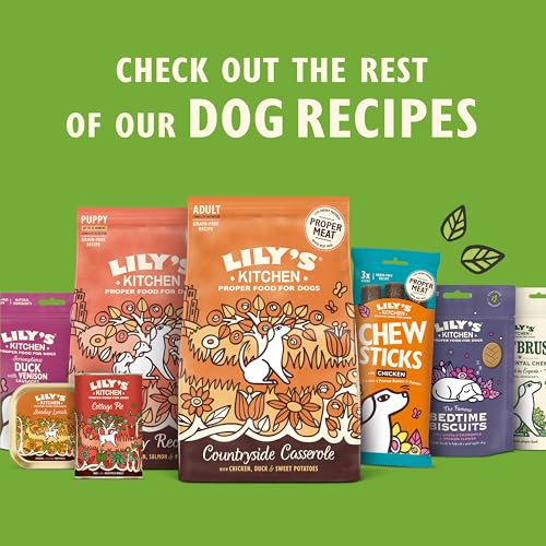 Lily's Kitchen Natürliches Nassfutter für ausgewachsene Hunde Dose - Rindsgulasch - Hundefutter Getreidefreies Rezept (6 x 400g dosen)
