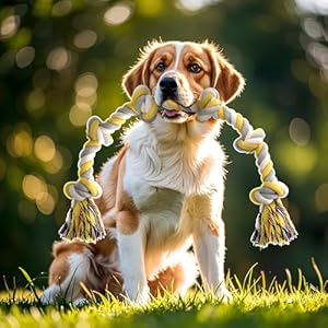 XXL-6-Knot-Dog-Rope-Toy-for-Large-Dogs-Aggressive-Chewers-40in-Long-Heavy-Duty-Rope-Toy-Almost-Indestructible-Dog-Tug-Toy-Puppy-Cotton - Cucciolini Doodles   XXL-6-Knot-Dog-Rope-Toy-for-Large-Dogs-Aggressive-Chewers-40in-Long-Heavy-Duty-Rope-Toy-Almost-Indestructible-Dog-Tug-Toy-Puppy-Cotton