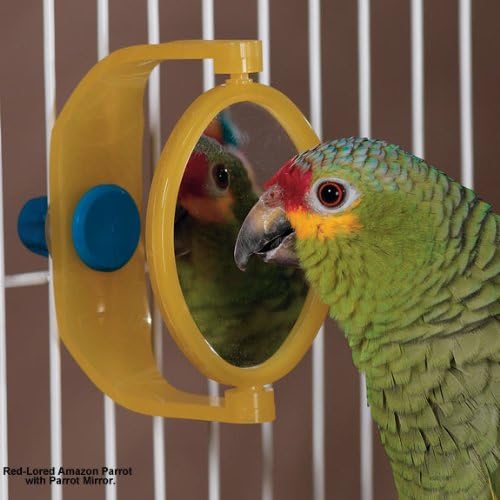 JW Pet Company Insight Parrot Mirror Large Bird Toy Assorted Colors