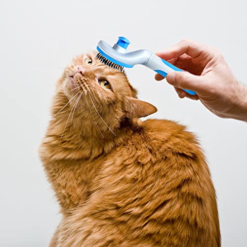 Cat Grooming Brush, Pets Slicker Brushes Dogs Self Clean Brush For Shedding One Button Removes Loose Undercoat Mats Tangled Hair Grooming Brush For Pet Massage-Self Cleaning (Blue) #TOP6