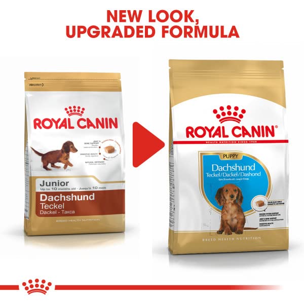 Amazon.co.jp: ロイヤルカナン BHN ダックスフンド 子犬用 1.5kg