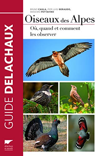 Télécharger Oiseaux des alpes Gratuit