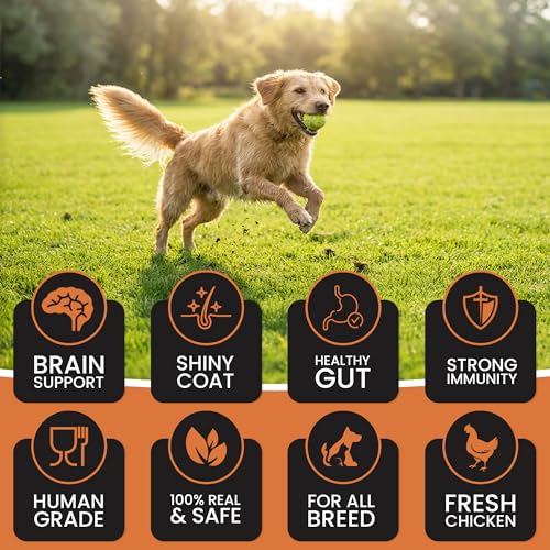 Image of Dr. Pets Pack of 10 Pumpkin Carrot Dog Chew Sticks, Dental Stick, Calcium Bone and Chicken Dog Biscuits Healthy Treats and Training Snacks Long Lasting Chew Sticks for Small and Large Breed