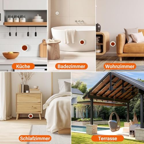 40 tück Ameisen Fänger Köder, Ameisenköderdose, Ameisenfalle, Geeignet für den Innen und Außenbereich, Langanhaltend und Effektiv, Einfacher Reinigung,im Haus,auf der Terrasse & im Garten 2x20er Pack