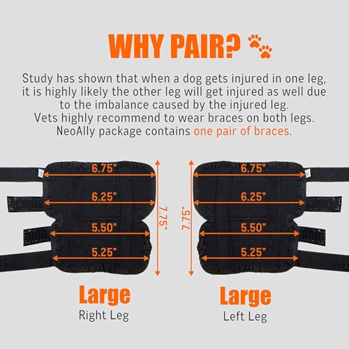 Image of NeoAlly Dog Canine Braces for Rear Legs Super Supportive with Dual Metal Spring Inserts to Stabilize Dog Hind Legs, Help Dogs with Injuries, Sprains, Arthritis, ACL (S Pair)