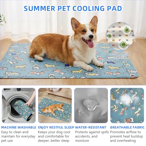Image of Qpets Self-Cooling Pad for Dogs & Cats, Pressure Activated, No Water Needed Large Waterproof Mat for Heat Stroke Prevention for Stay Cool Indoor & Outdoor (90 * 65cm)