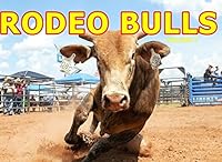 Rodeo Bulls Volume 1 1980481946 Book Cover