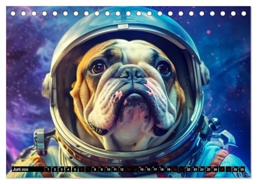 Hunde im Weltall (Tischkalender 2026 DIN A5 quer), CALVENDO Monatskalender: Hunde im All: Eine kosmische Reise der Niedlichkeit. (CALVENDO Wissenschaft)