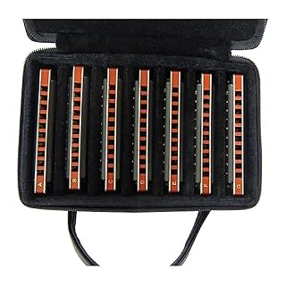PacuM Harmonica par Instrument Key Harmonica Diatonique Ensemble 10 Trous Harpe Diatonique Orgue à Bouche Harmonica Ensemble 7 Touches for Adultes Band Player Harmonica - Les Beatles, Paul McCartney, John Lennon, RIngo Starr, George Harrison PacuM Harmonica par Instrument Key Harmonica Diatonique Ensemble 10 Trous Harpe Diatonique Orgue à Bouche Harmonica Ensemble 7 Touches for Adultes Band Player Harmonica – Image 3