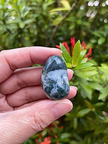 Image of 1 /2 LB Moss Agate Tumbled Stones, Polished Natural Moss Agate Gemstone, Moss Agate Healing Crystals (Moss Agate)