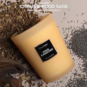 HomeLights Scented Candles, Candles for Home Scented, Large Jar Aromatherapy Candles, Natural Soy Wax, 130 Hours Long Burning Candles Gift, Citrus & Wood Sage HomeLights Scented Candles Candles for Home Scented Large Jar Aromatherapy Candles Natural Soy Wax 130 Hours Long Burning Candles Gift Citrus Wood Sage