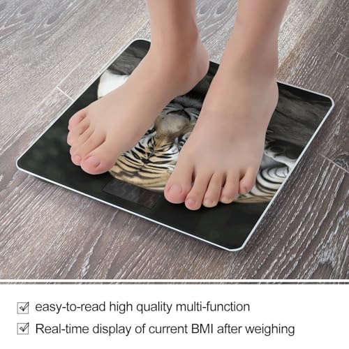 Báscula digital de baño Tiger Lie On Rock para peso corporal miniatura 5