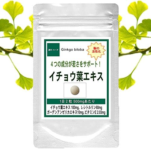 イチョウ葉エキス お徳用５４０粒(約９ヶ月分)