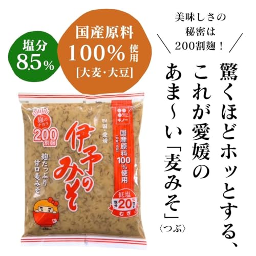 ギノーみそ 国産伊予麦みそ 700g