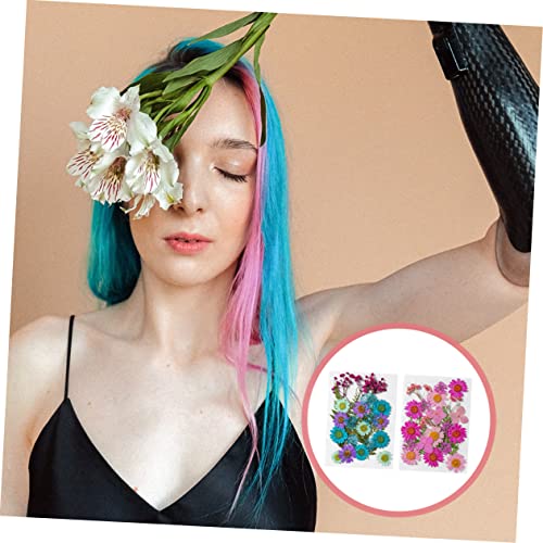 Flores Secas Artesanales 50pcs para Manualidades DIY miniatura 3