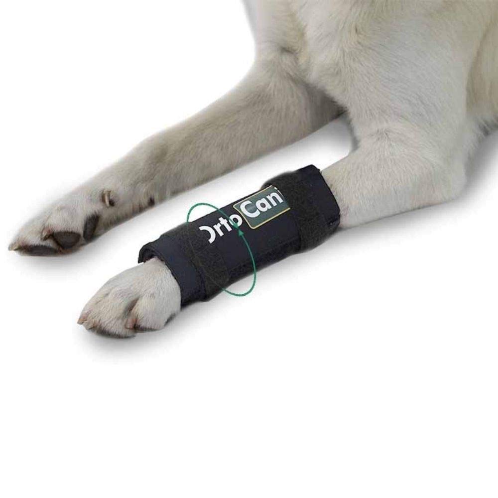 Ortocanis Original Carpal Brace for dogs with carpal hyperextension, arthritis, front leg injuries - lateral metal splints for more support - for all breeds - Size L