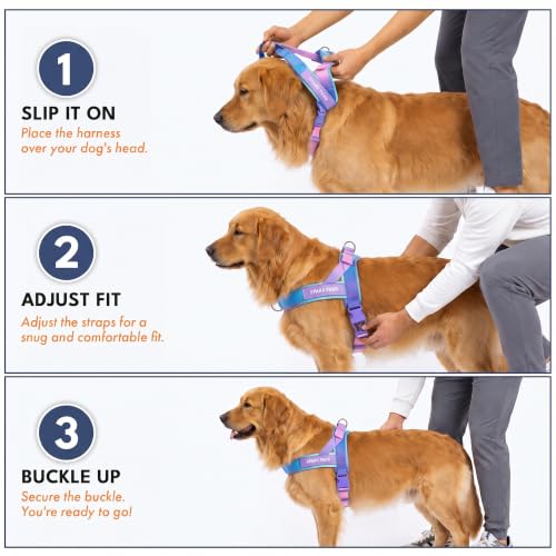 Image of Spark Paws No Pull Front Clip Dog Harness - Easy On, Padded and Lightweight | Two Clips, On in Seconds, Chest Bearing, Australian Style, No Throat Pressure, for Small Medium and Large Breeds