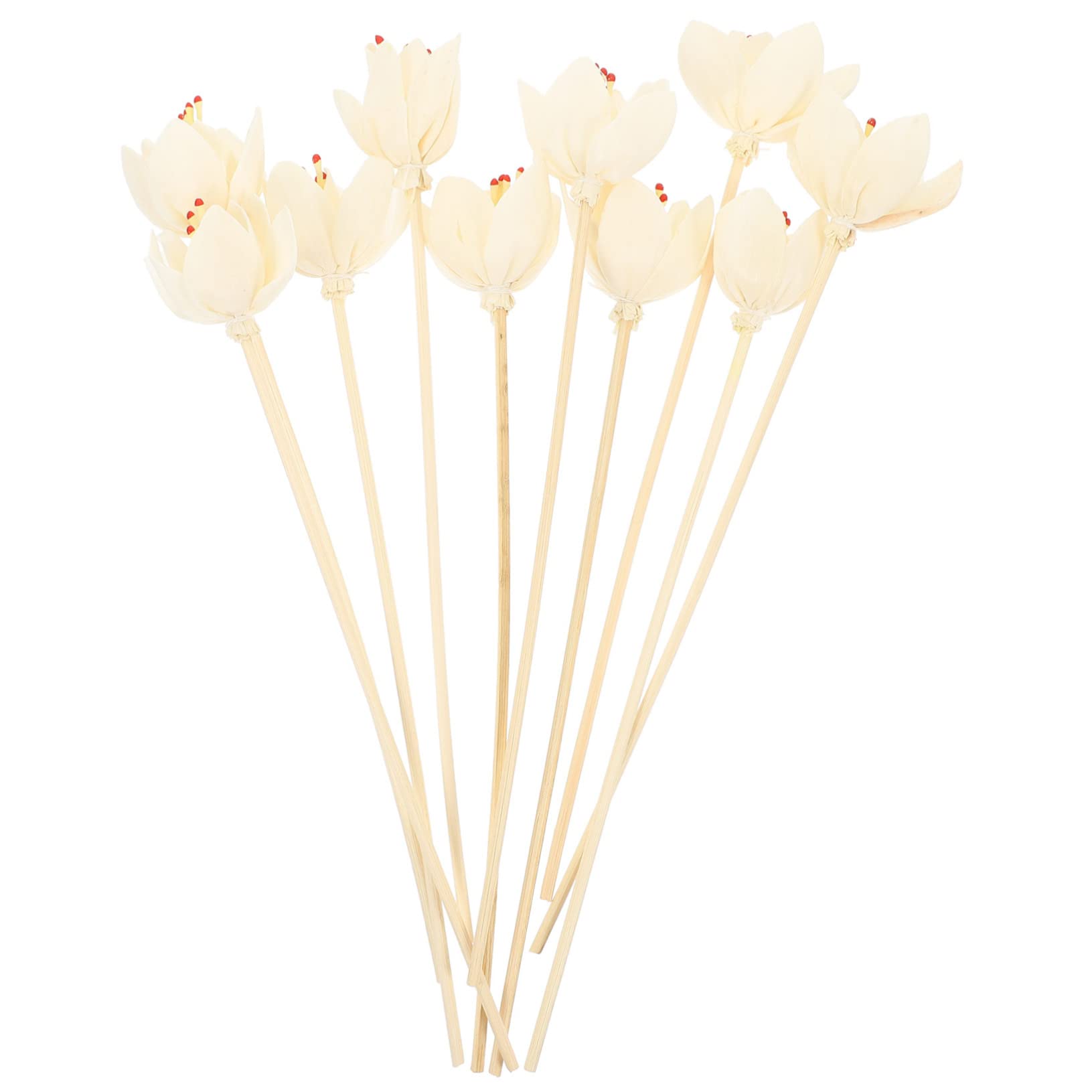 Vaguelly 3 Set Rattan Per Aromaterapia Olio Essenziale Sostituzione Profumo Profumatore Ufficio Profumatore Bagno Bastoncini Profumati Bastoncini Diffusori Di Fiori Secchi Papiro 10 Pezzi*3