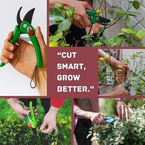 Image of Mozarto Heavy Duty Gardening Scissor /Plant Cutter For Garden /Branch Cutter For Plants /Flower Cutter /Pruners For Plants /Wood Branch Trimmer /Secateurs /Pruning Shears Blade (Green)