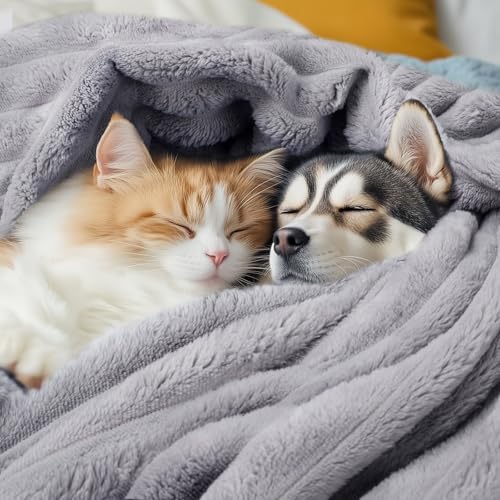 luciphia Hundedecke Katzendecke Waschbar, 1 Pack 3 Decken Flanell für Kleine Mittlere Größe Hunde Katzen, Flauschig Weiche Warme Fleece Haustier Decke für Unterwegs Kuschel Grau 45 x 75 cm