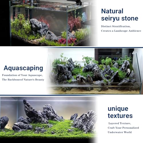 Image of Aquariums Stones Fish Tank Rock 3Lb seiryu Rock for Aquascaping,Aquariums,Terrariums,Vivariums,Decorative Stone,Reptile Enclosures,Paludariums,and Gardens-(2-5 Inch)