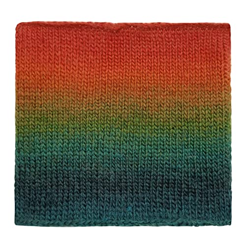 Image of 2 Skeins Rainbow Soft Yarn 100% Wool Gradient Multi Color Yarn for Crocheting Knit Total Length 180mx2(196ydsx2,50gx2)-10