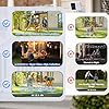 Swingers 3MP 2K Window Camera,2.4GHz & WiFi Indoor Cameras for Home Security with Phone app,Person & Motion Detection,Night Vision,Easy & Quick Install (1 Pack) #5