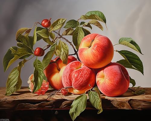 XTXGERL Digital Painting Still Life Fruits, Painting by Numbers Easy Large Art Activity Kit, Painting Arts and Crafts, 40x50cm, Without Frame
