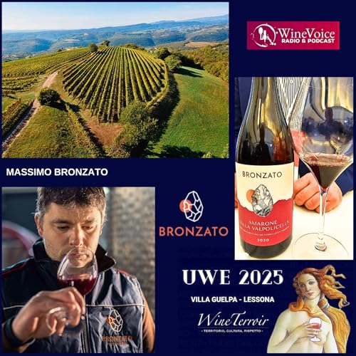 Le Terre del Vino: UWE25 - MASSIMO BRONZATO (Valpolicella)