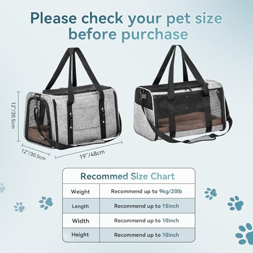 Petsfit Transportbox für Katzen – Faltbare Transporttasche mit Schultergurt, 4-seitigem Netz & weichem Innenkissen – ideal fürs Auto, Reisen & Tierarztbesuche – auch für kleine Hunde