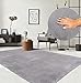 the carpet Relax Moderner Flauschiger Kurzflor Teppich, Anti-Rutsch Unterseite, Waschbar bis 30 Grad, Super Soft, Felloptik, Grau, 240 x 340 cm Anti Grau günstig Kaufen-the carpet Relax Moderner Flauschiger Kurzflor Teppich, Anti-Rutsch Unterseite, Waschbar bis 30 Grad, Super Soft, Felloptik, Grau, 240 x 340 cm
