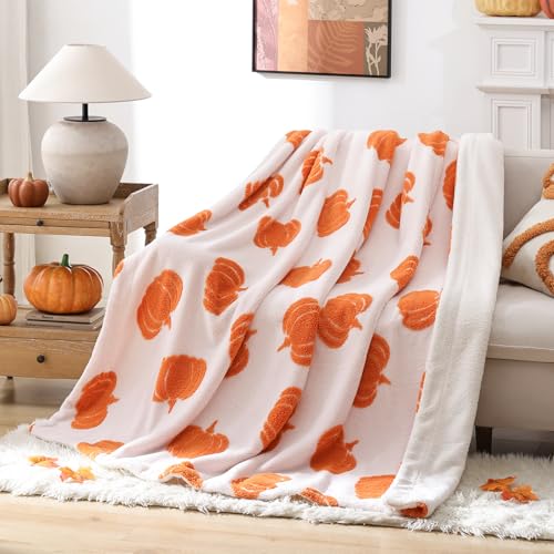 weigelia Fall Throw Blanket - Halloween Pumpkin Blanket Soft Warm Autumn Velvet Blanket for Couch Bed Sofa, 50