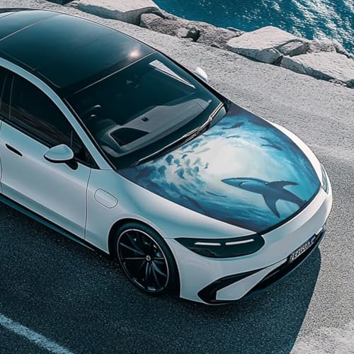 Image of Shark Car Hood Cover All Weather Protection Automotive Exterior Accessories Universal Fit Hood Covers for Cars, Trucks, SUV, or Van Full Coverage with Elastic Band