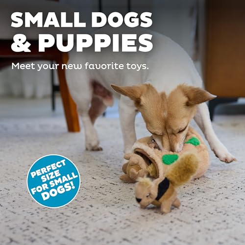 Image of Outward Hound Squeakin' Squirrels - 3‑Pack Plush Squeaky Dog Toys for Puppies, Small Dogs & Hide-A-Squirrel Replacements