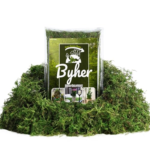 BYHER Fake Moss 4OZ - Moss for Crafts and Indoor Plants Realistic Artificial Green Grass for Fairy Garden DIY Projects Potted Plants Table Centerpieces Wedding Decor (Realistic Green)