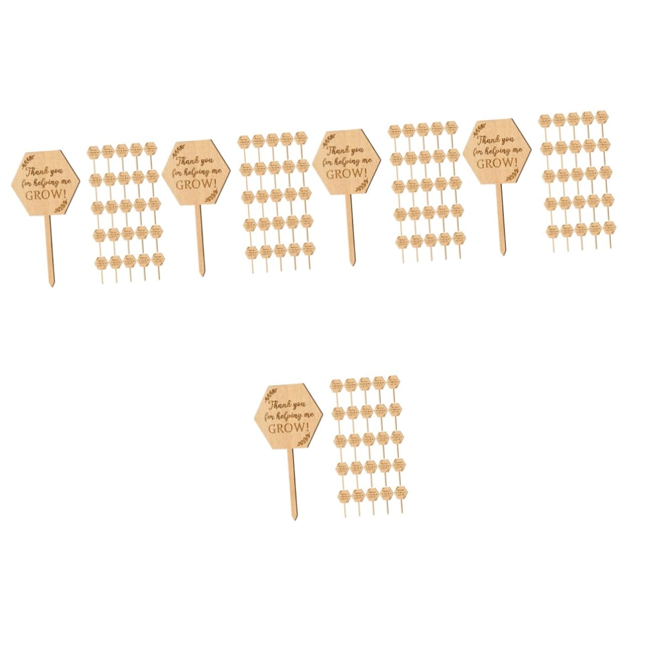 BESPORTBLE 5 Sätze Saftige Karte Gartenpflanzenmarker Solarleuchten Für Den Außenbereich Pflanzetiketten Pflanzenetiketten Pflanzenzubehör Pflanzenidentifikationsetikett Holz 40 Stück * 5
