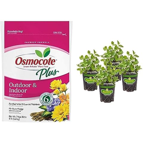 Osmocote Smart-Release Plant Food Plus Outdoor & Indoor, 8 lb. + Bonnie Plants Apricot Vinca Live Flower Plants - 25 oz., 14-16" Plants Cover