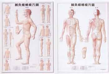 鍼灸力学　経絡の秩序と経穴力の研究 51HY7IjiSFL._UF350,350_QL50_.jpg