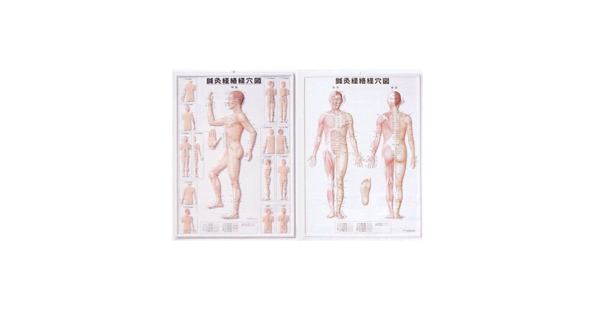 臨床経穴学 中医鍼灸 臨床経穴学 | 李世珍 |本 | 通販 | Amazon