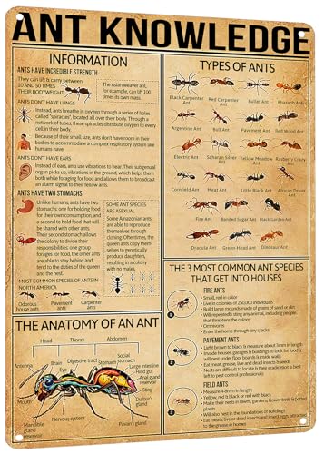 HYBLOM Vintage Ant Knowledge Metal Sign - Educational Insect Tin