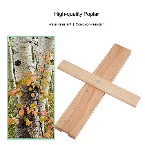 1DOT2 Clessidra Sauna,15 Minuti pioppo Bianco